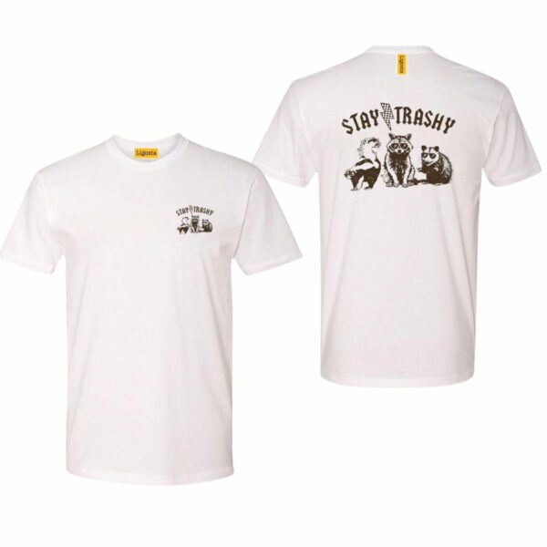 Stay Trashy. Funny Raccoon, Opossums Squad Team Trash, Raccoon Sublimation Design, Street Life Style, Street Life Style - Image 2