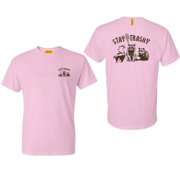 Stay Trashy. Funny Raccoon, Opossums Squad Team Trash, Raccoon Sublimation Design, Street Life Style, Street Life Style - Image 5