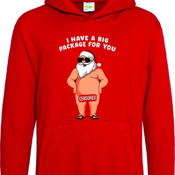 Christmas Hoodie, Funny Christmas Top, Funny Christmas  Hoodie, Xmas Party Hoodie, Santa Gift, Santa Hoodie - Image 3