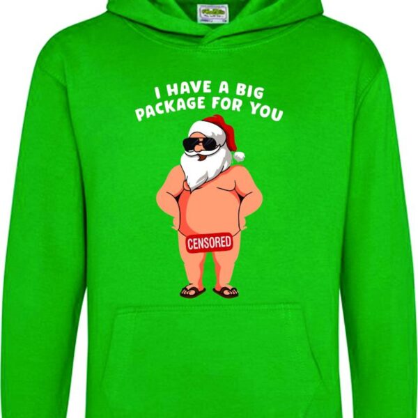 Christmas Hoodie, Funny Christmas Top, Funny Christmas  Hoodie, Xmas Party Hoodie, Santa Gift, Santa Hoodie - Image 4