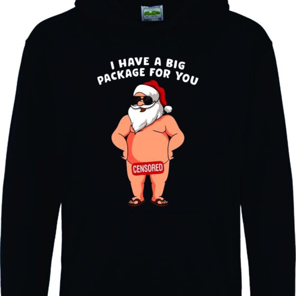 Christmas Hoodie, Funny Christmas Top, Funny Christmas  Hoodie, Xmas Party Hoodie, Santa Gift, Santa Hoodie - Image 6