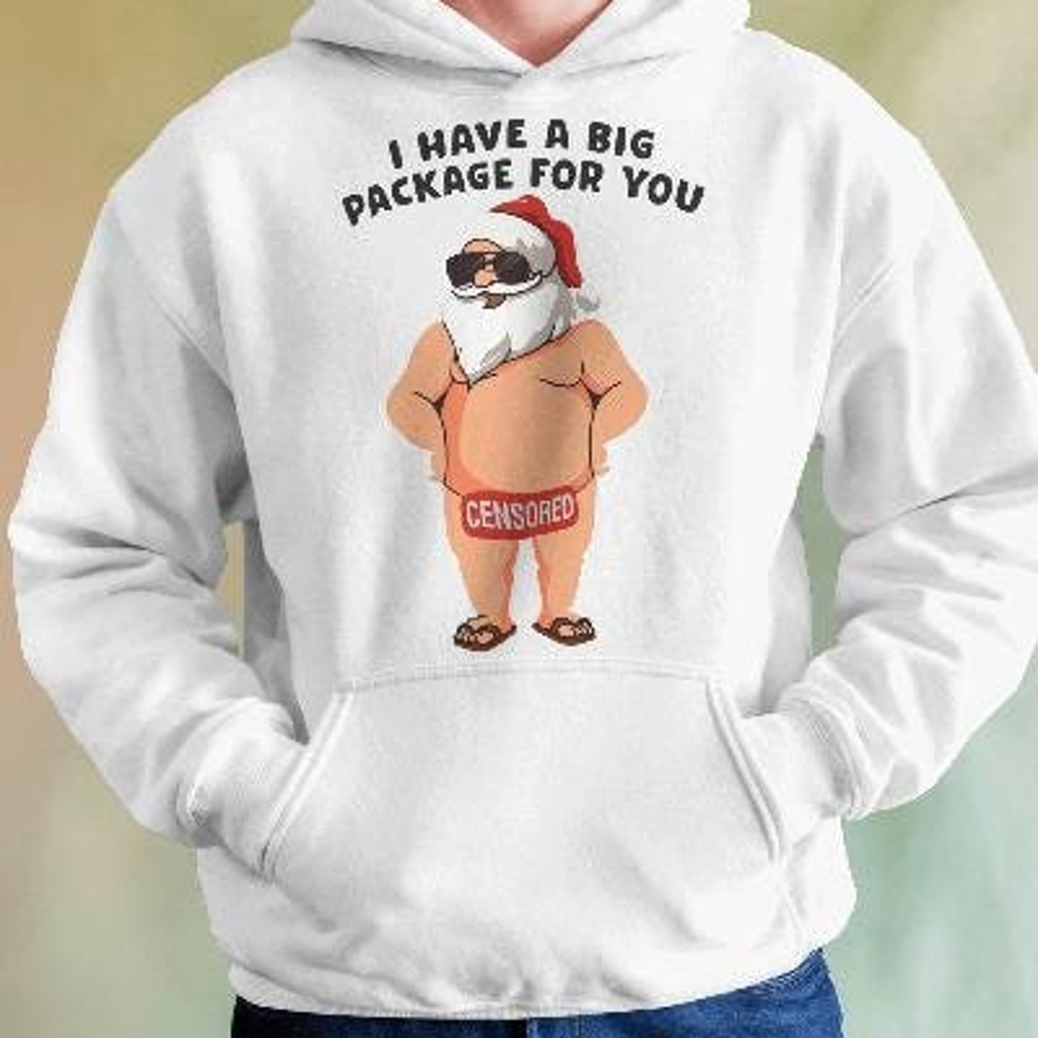 Christmas Hoodie, Funny Christmas Top, Funny Christmas  Hoodie, Xmas Party Hoodie, Santa Gift, Santa Hoodie