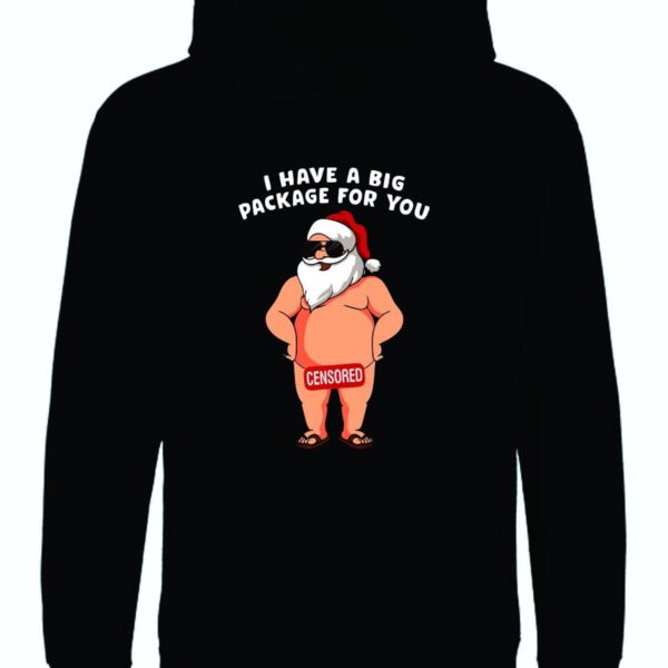 Christmas Hoodie, Funny Christmas Top, Funny Christmas  Hoodie, Xmas Party Hoodie, Santa Gift, Santa Hoodie - Image 2