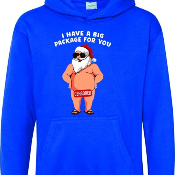 Christmas Hoodie, Funny Christmas Top, Funny Christmas  Hoodie, Xmas Party Hoodie, Santa Gift, Santa Hoodie - Image 5